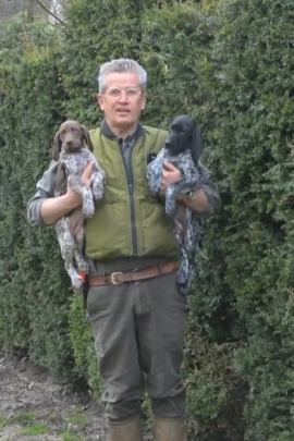 Hecke mit Welpen