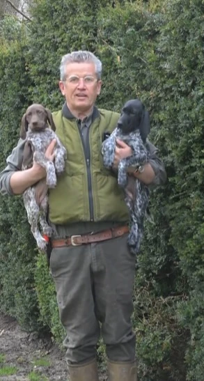 Hecke mit Welpen