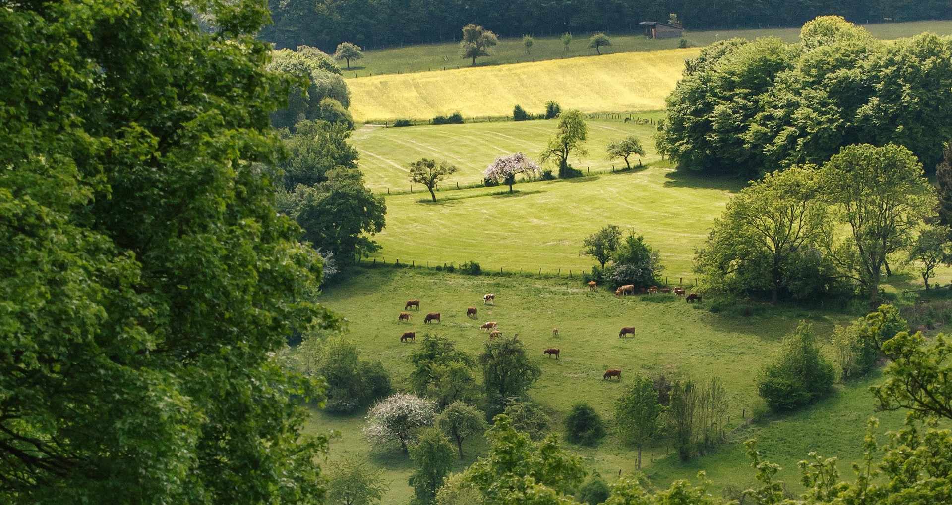 breimann landschaft agrar 33